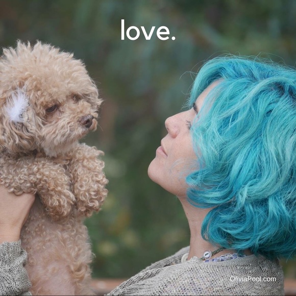 Meet your Posher, Olivia - Picture 3 of 3